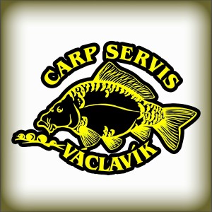 carpservis